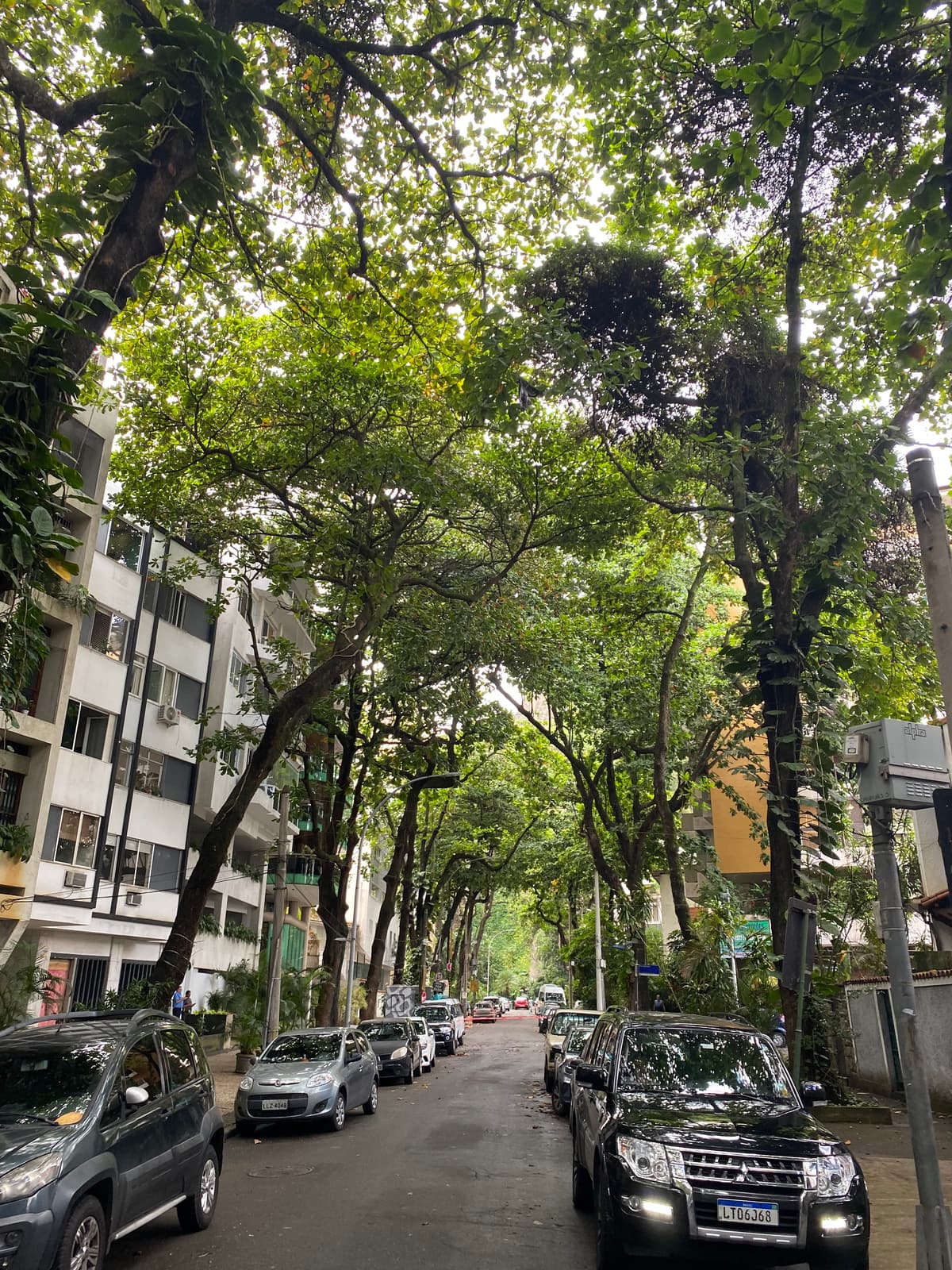 Brazilië — 11