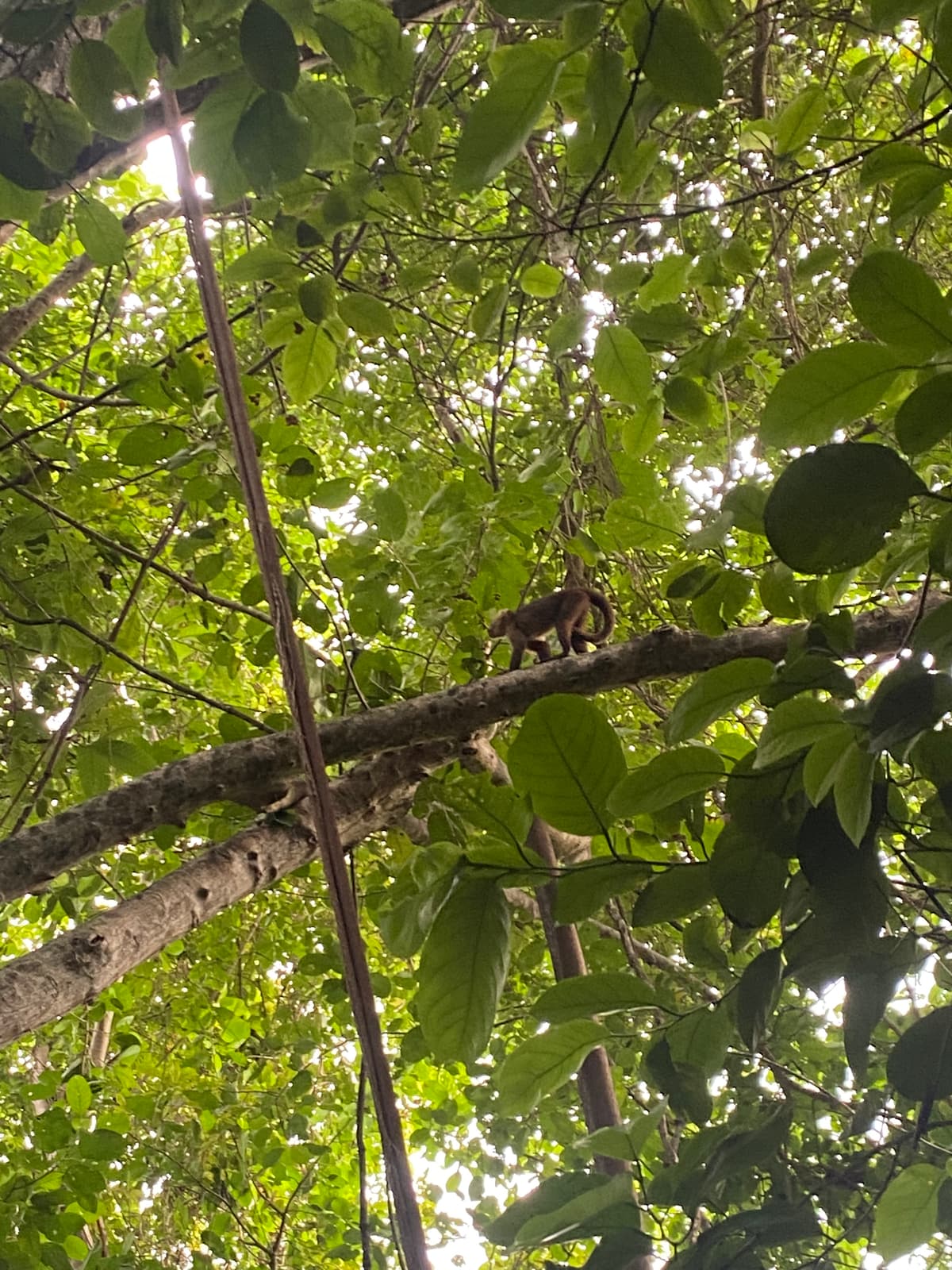 Colombia — 10