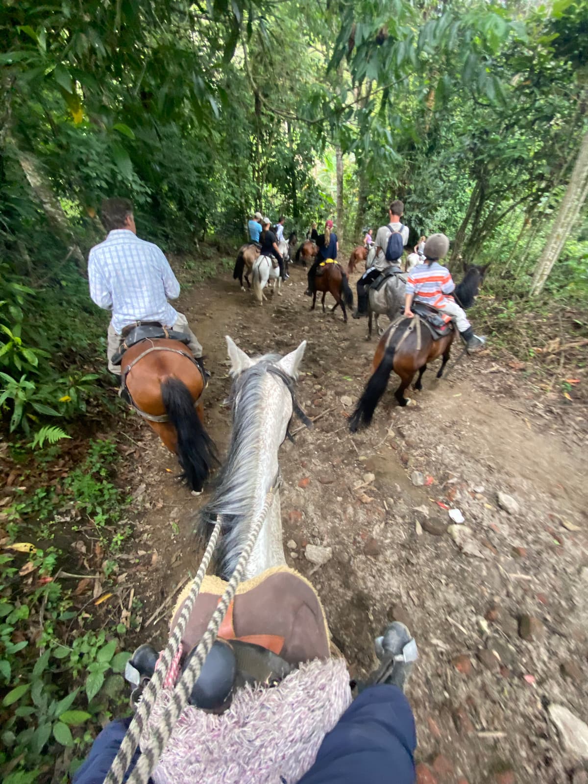 Colombia — 8