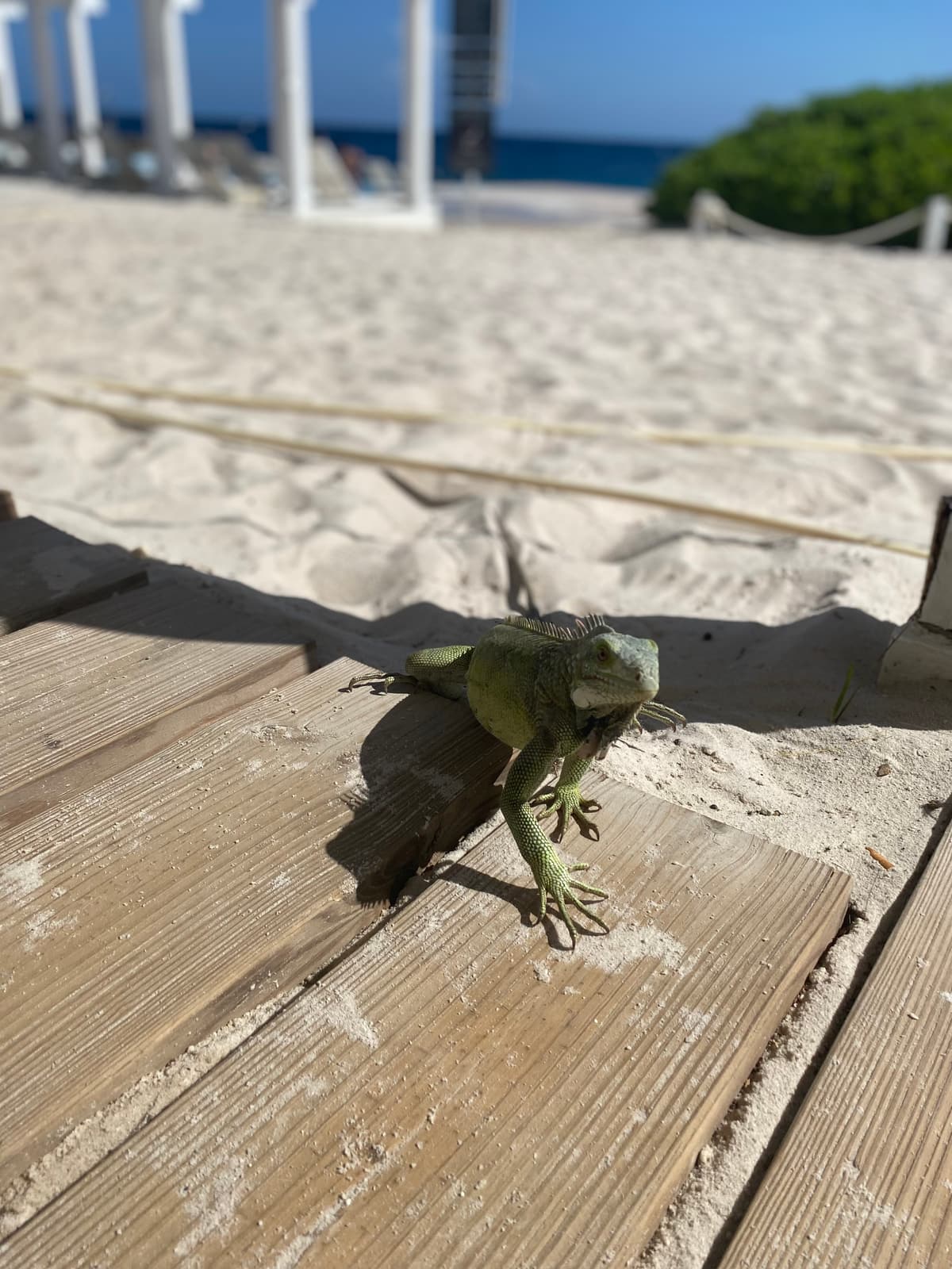 Curaçao — 2