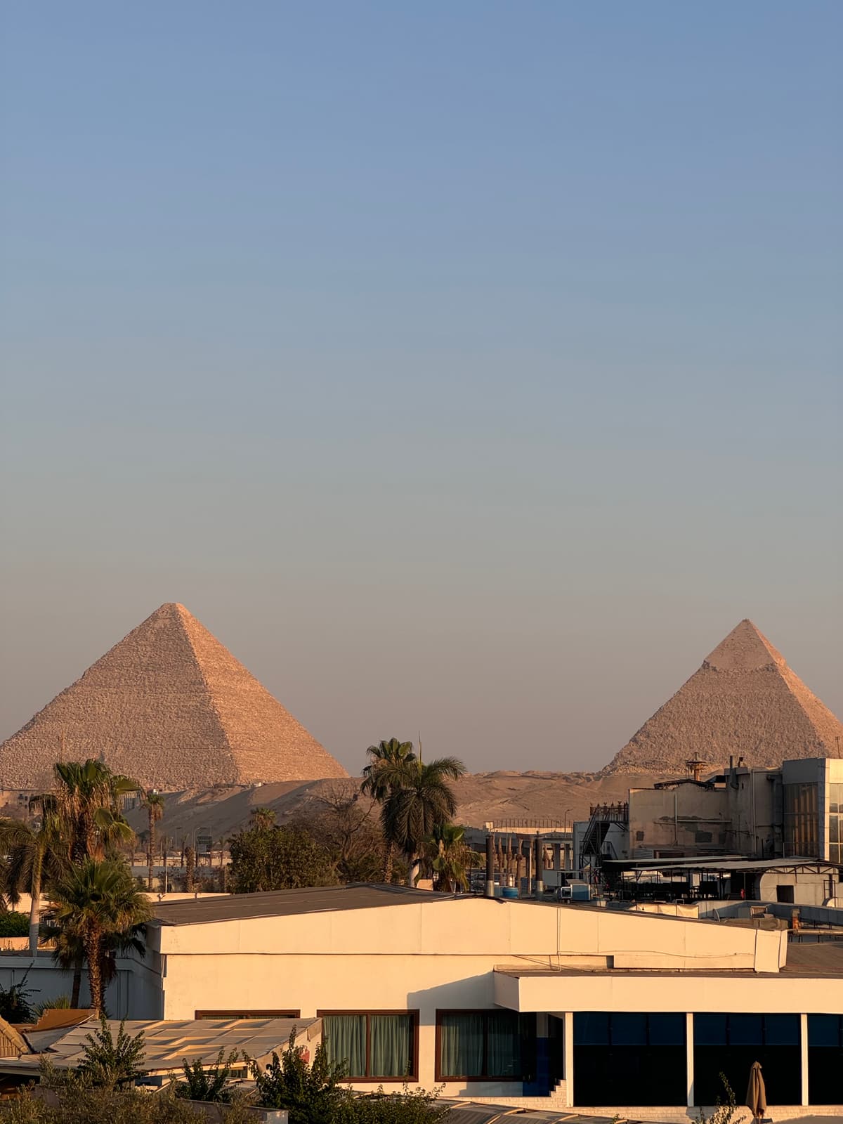 Op kamelen voor de Piramides van Giza