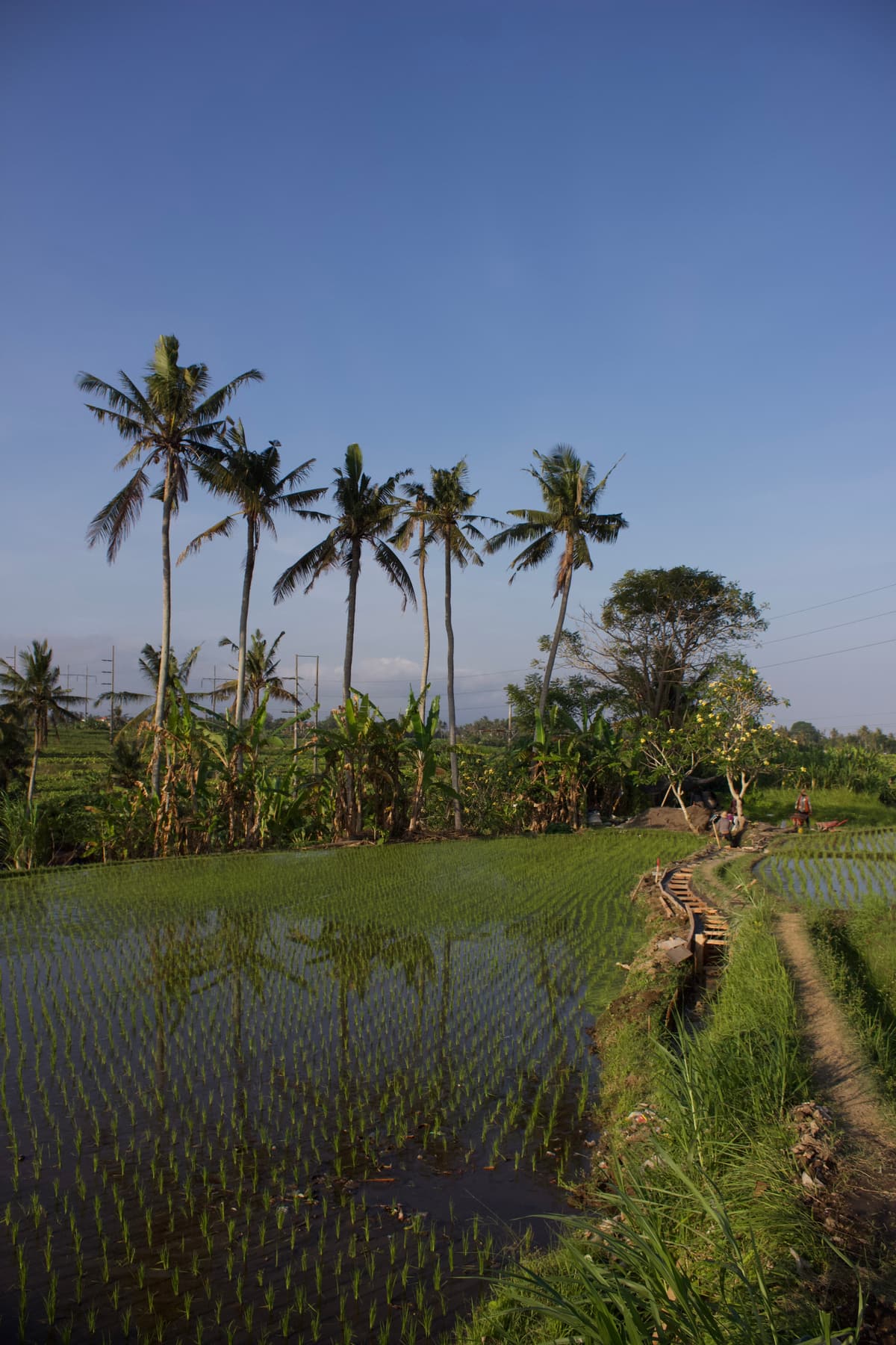 Indonesië — 2