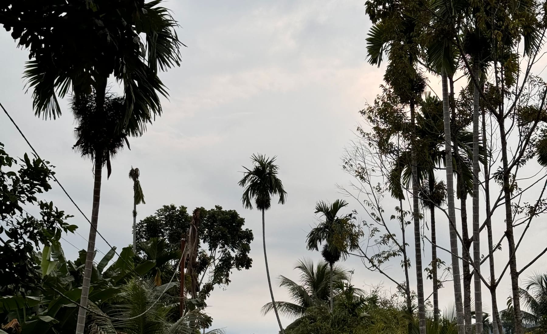 Sumatra