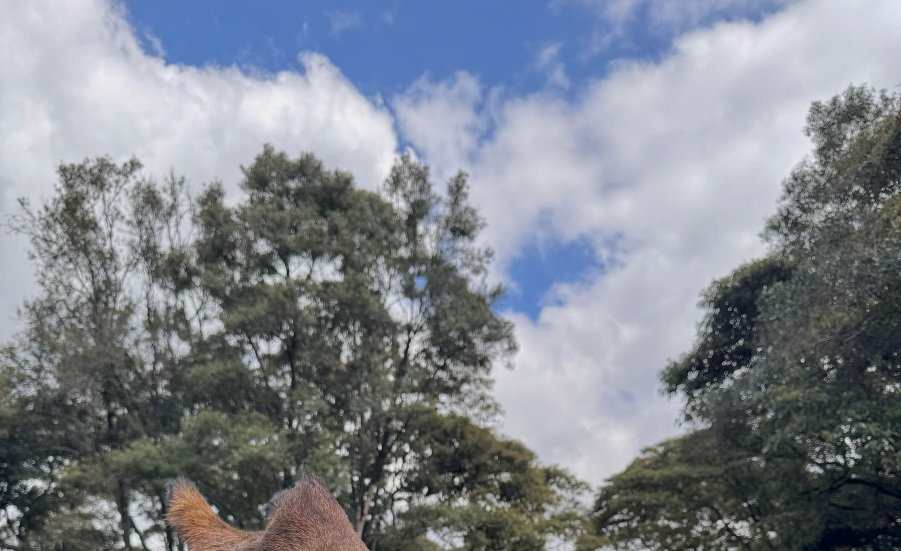 Kenya