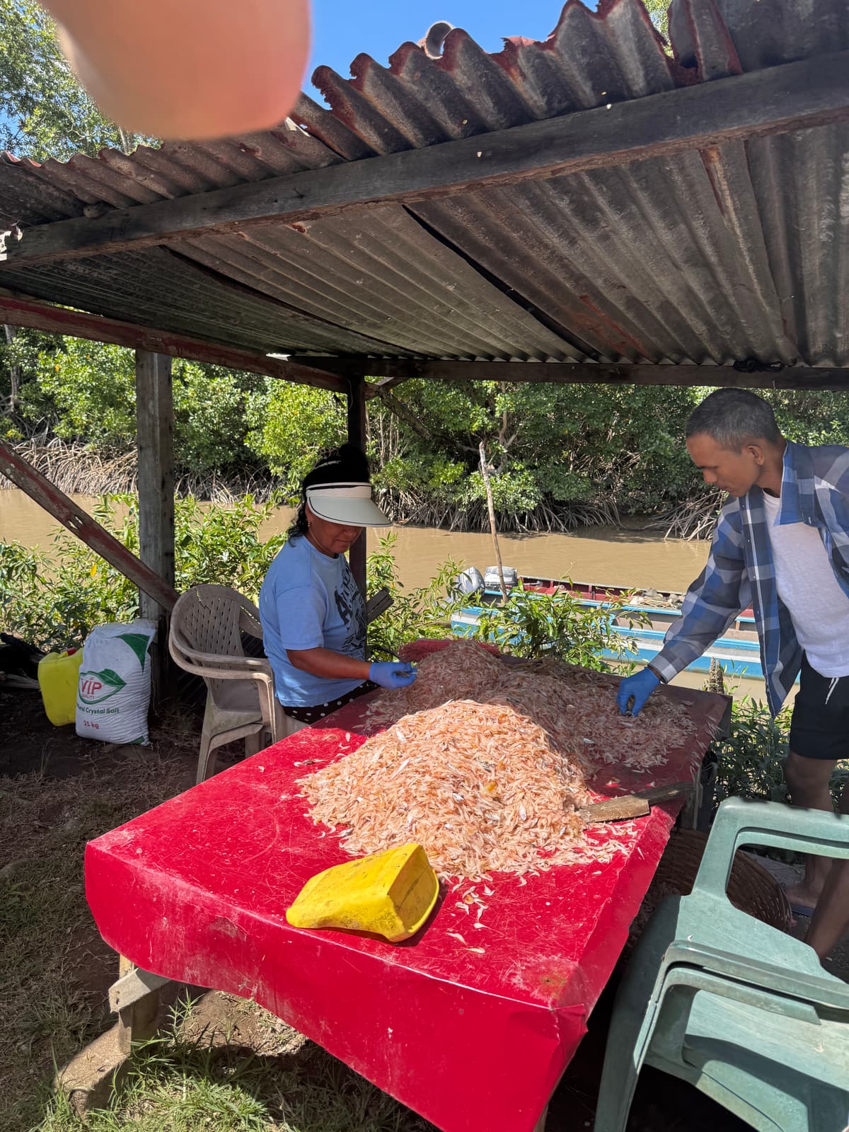 Suriname — 3