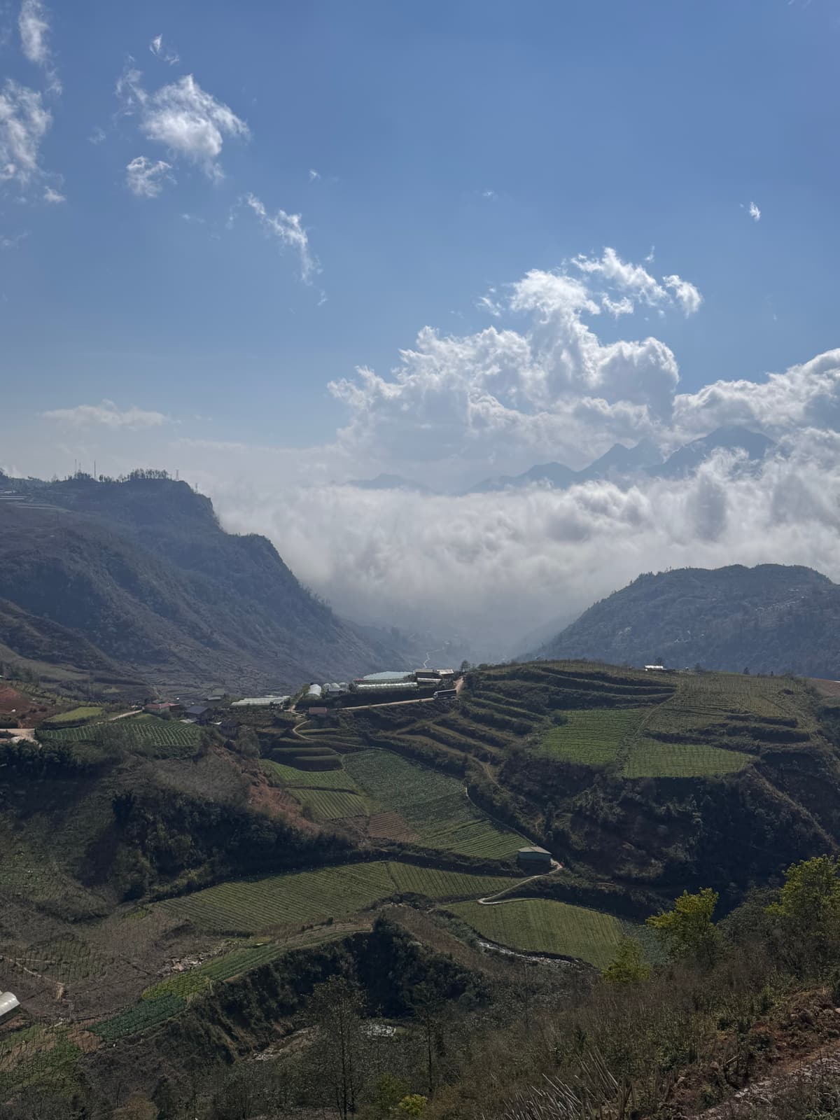 Vietnam — 6