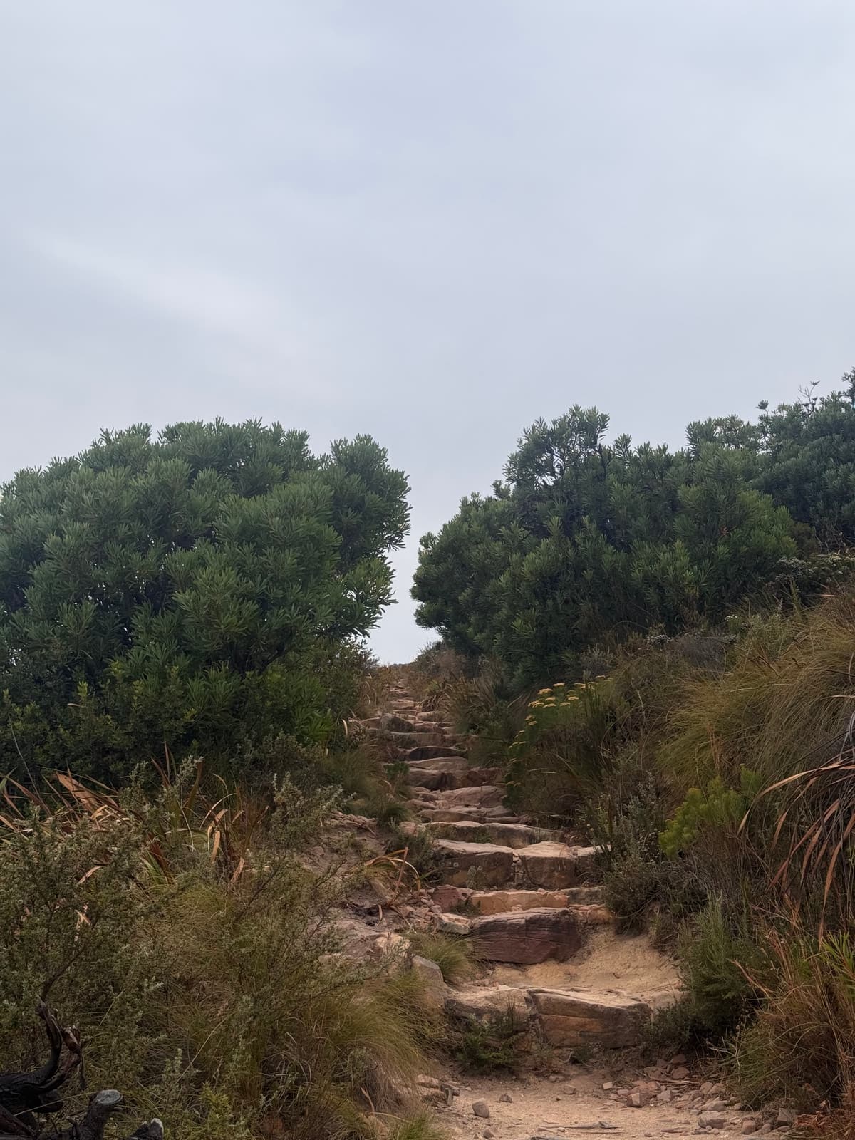 Zuid-Afrika — 10